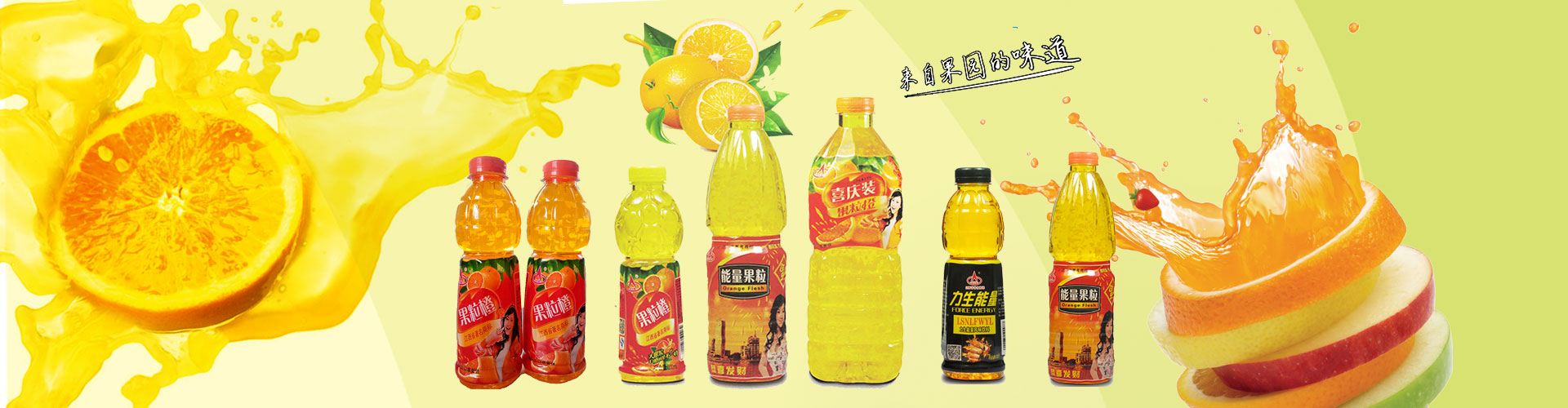 沼氣工程設(shè)備